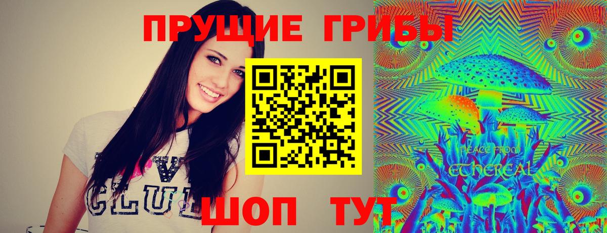 Галлюциногенные грибы Cubensis Вичуга