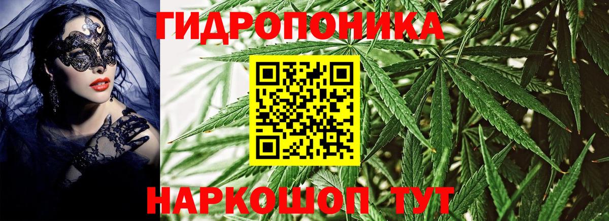 Конопля конопля  Конопля индика  Вход с VPN  Шишки марихуана тримм  Бошки марихуана OG Kush  Вичуга 